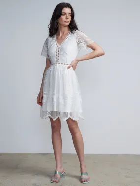 Lace Flare Dress