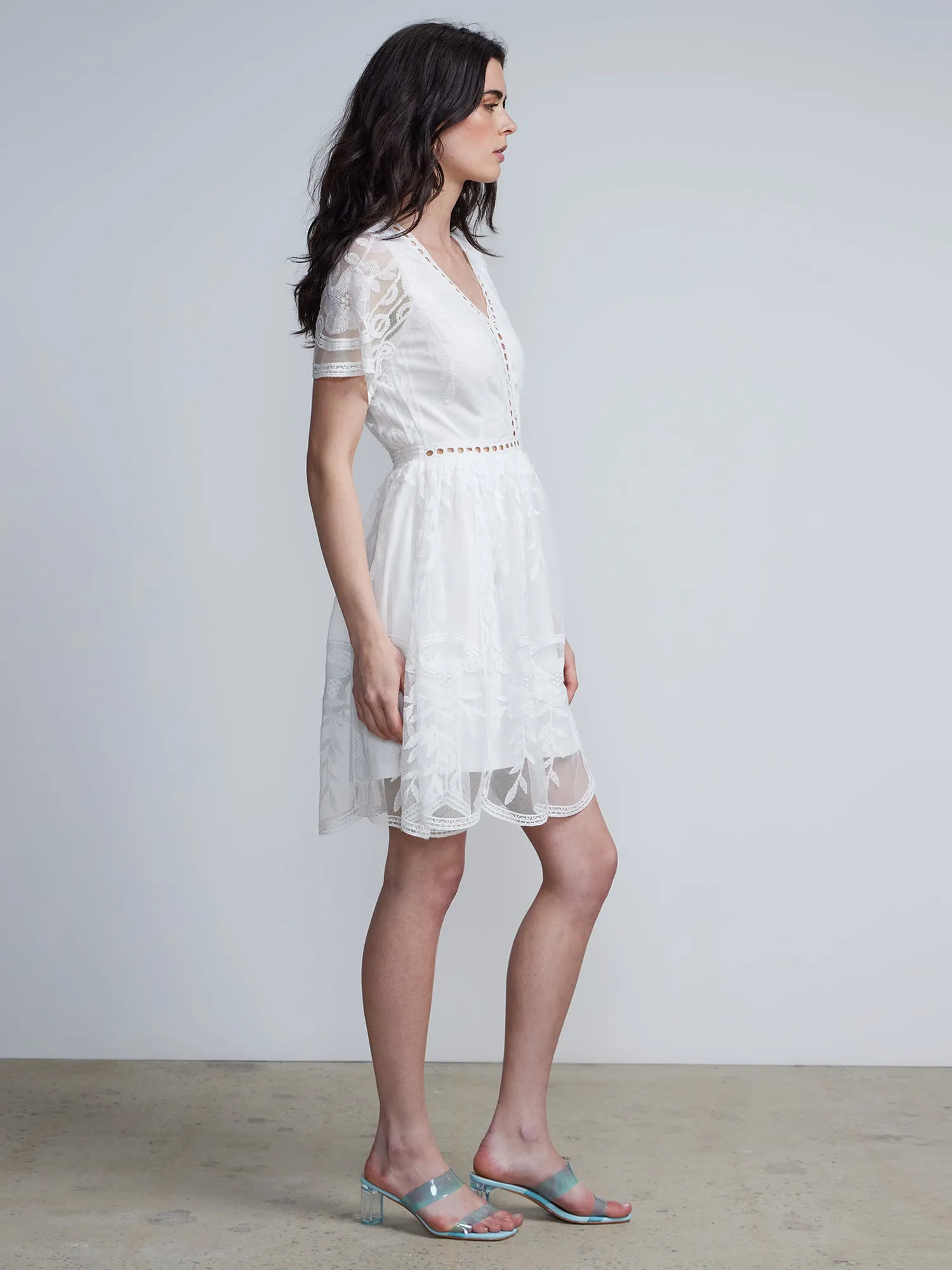 Lace Flare Dress