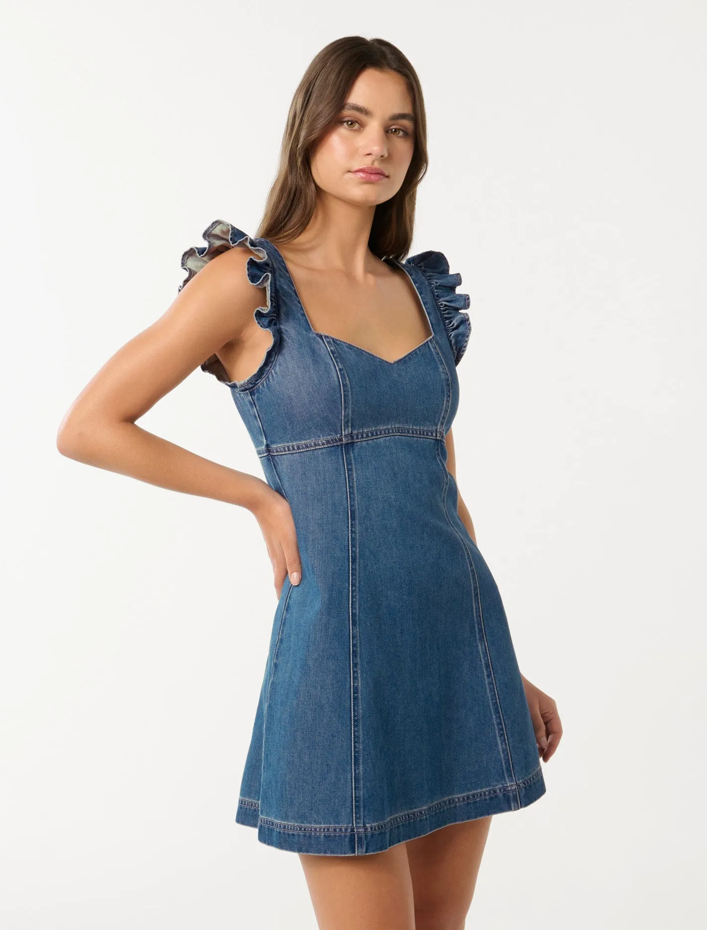Rose Denim Dress